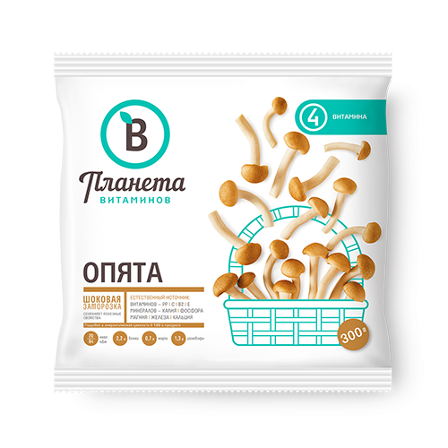 Опята Опята