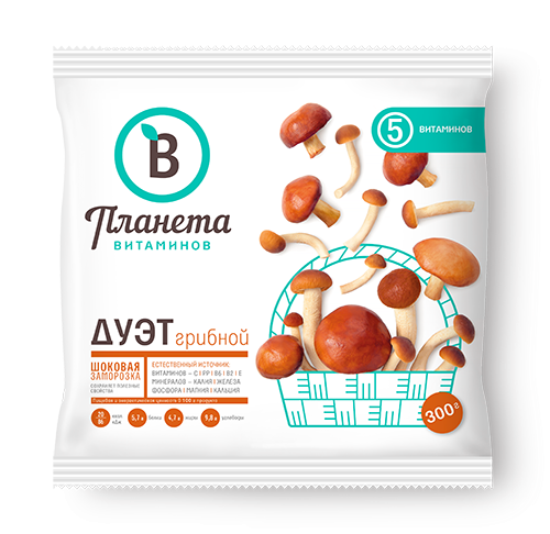 Дуэт грибной Дуэт грибной